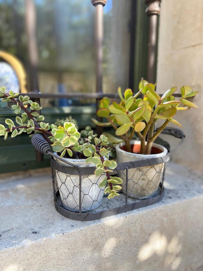 Le Jardinet De Rosa Maison De Village Eygalières Zewnętrze zdjęcie
