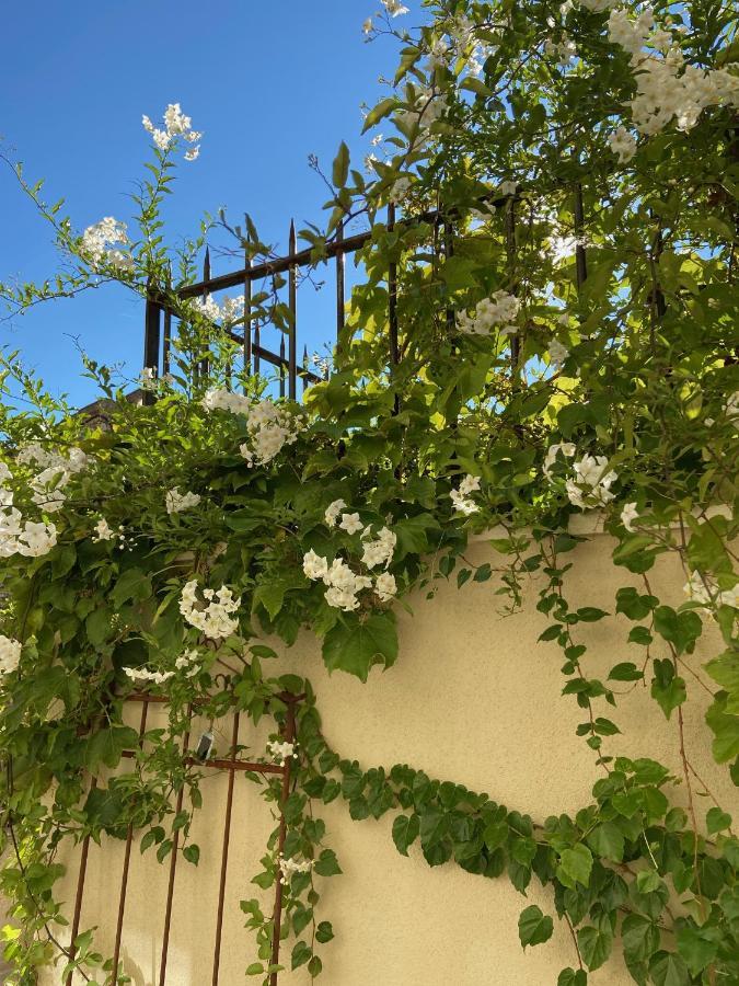 Le Jardinet De Rosa Maison De Village Eygalières Zewnętrze zdjęcie